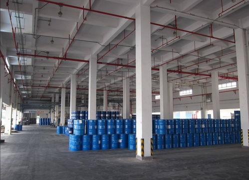 蛇口至圭亚那海运专线 拼箱整箱特价，仓储一体化解决方案